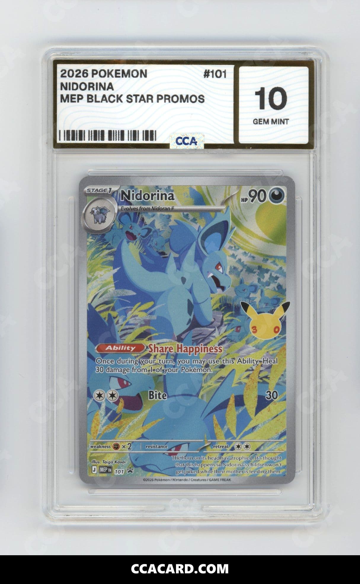 CCA graded Nidorina slab