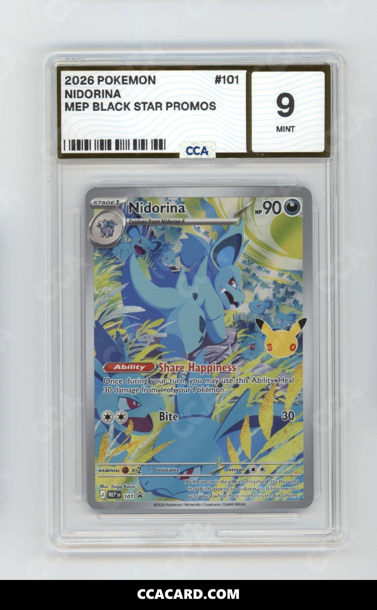 CCA graded Nidorina slab