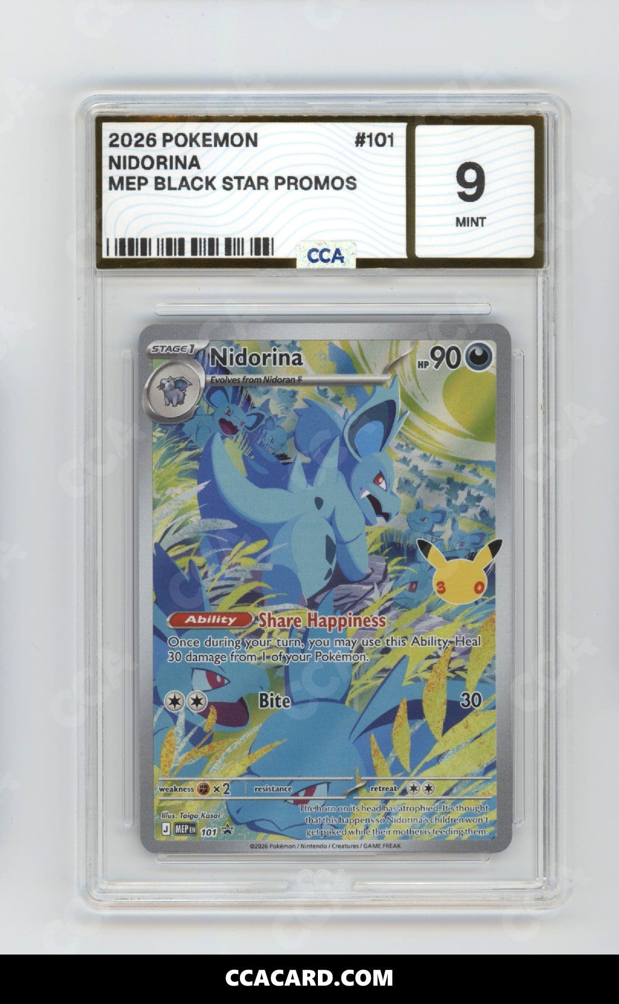 CCA graded Nidorina slab