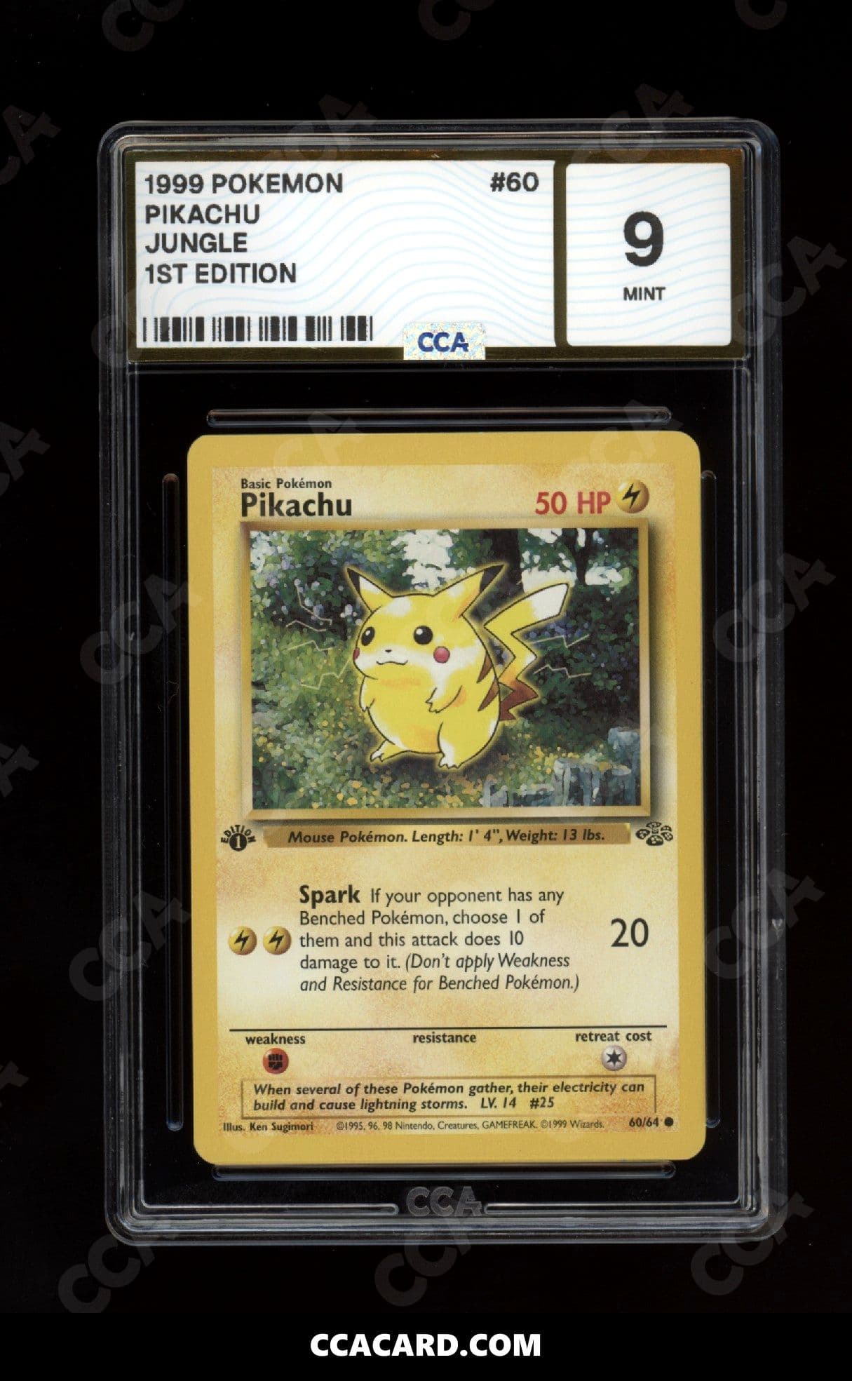 CCA graded Pikachu slab