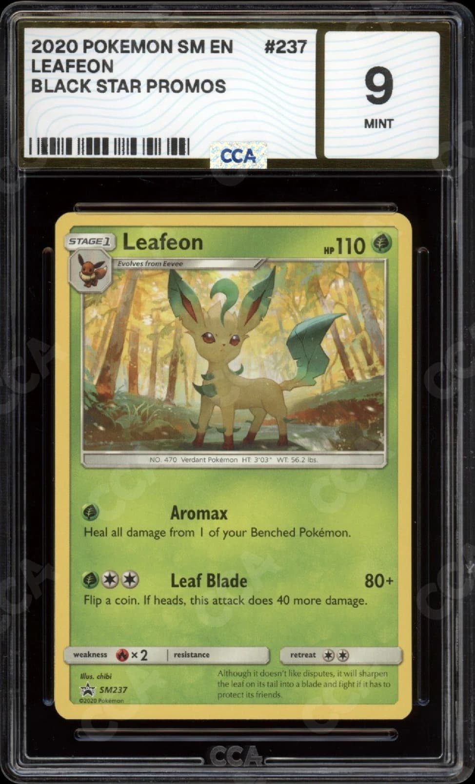 CCA graded Leafeon slab