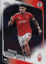 Purple Refractor