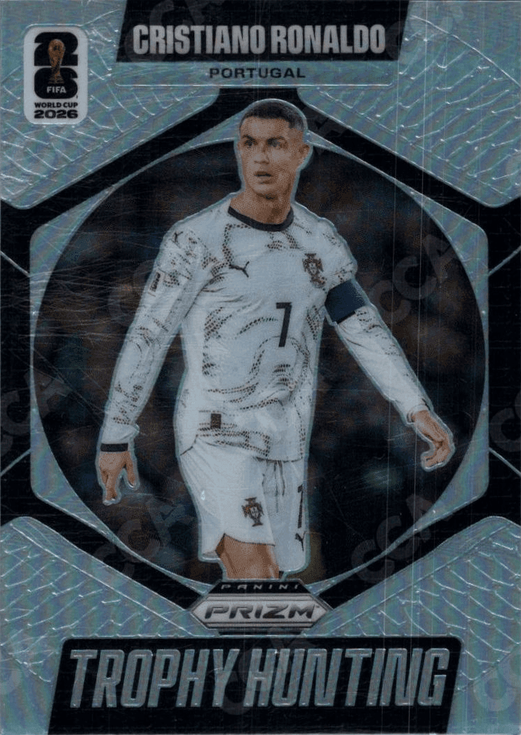 Silver Prizms
