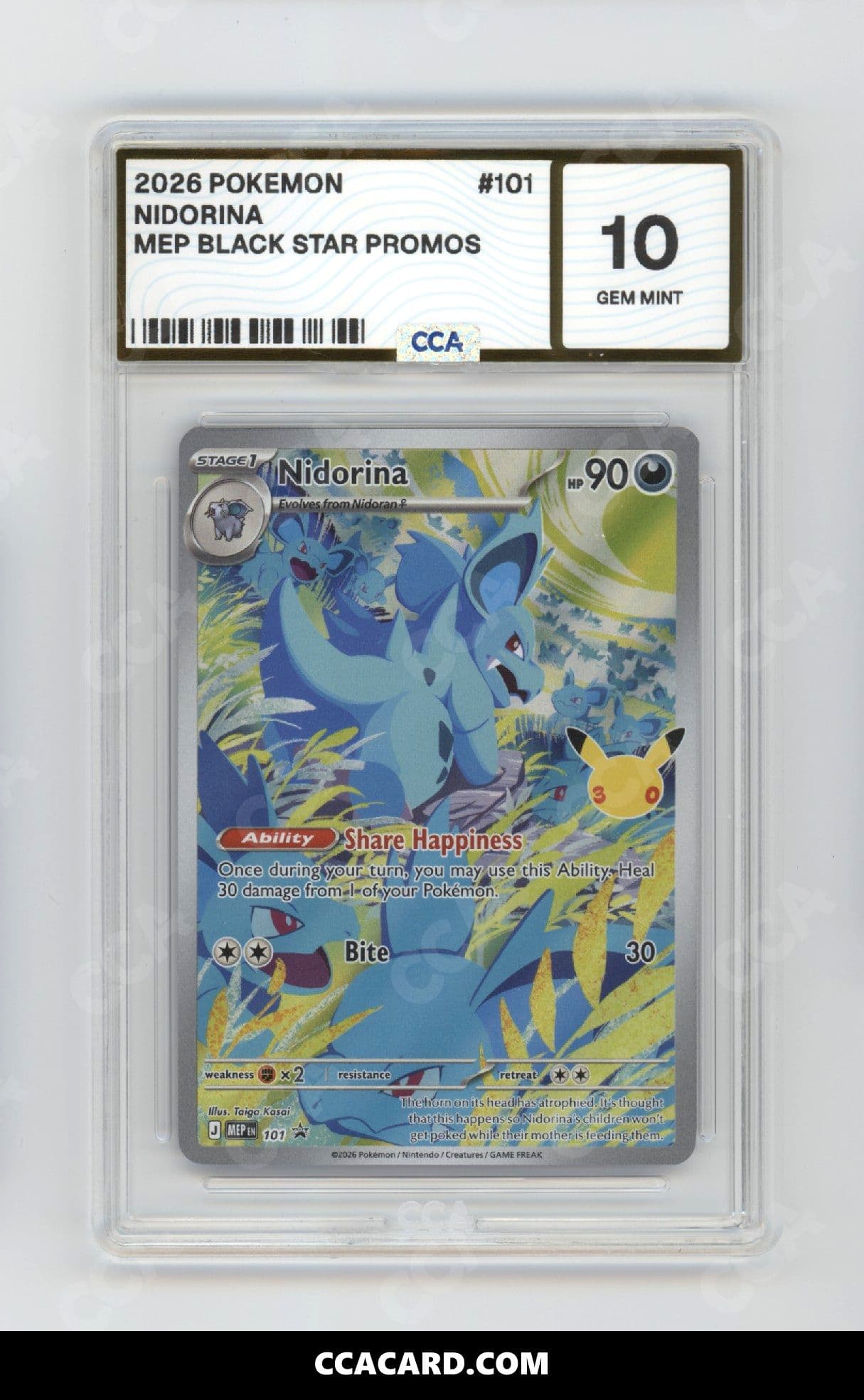 CCA graded Nidorina slab