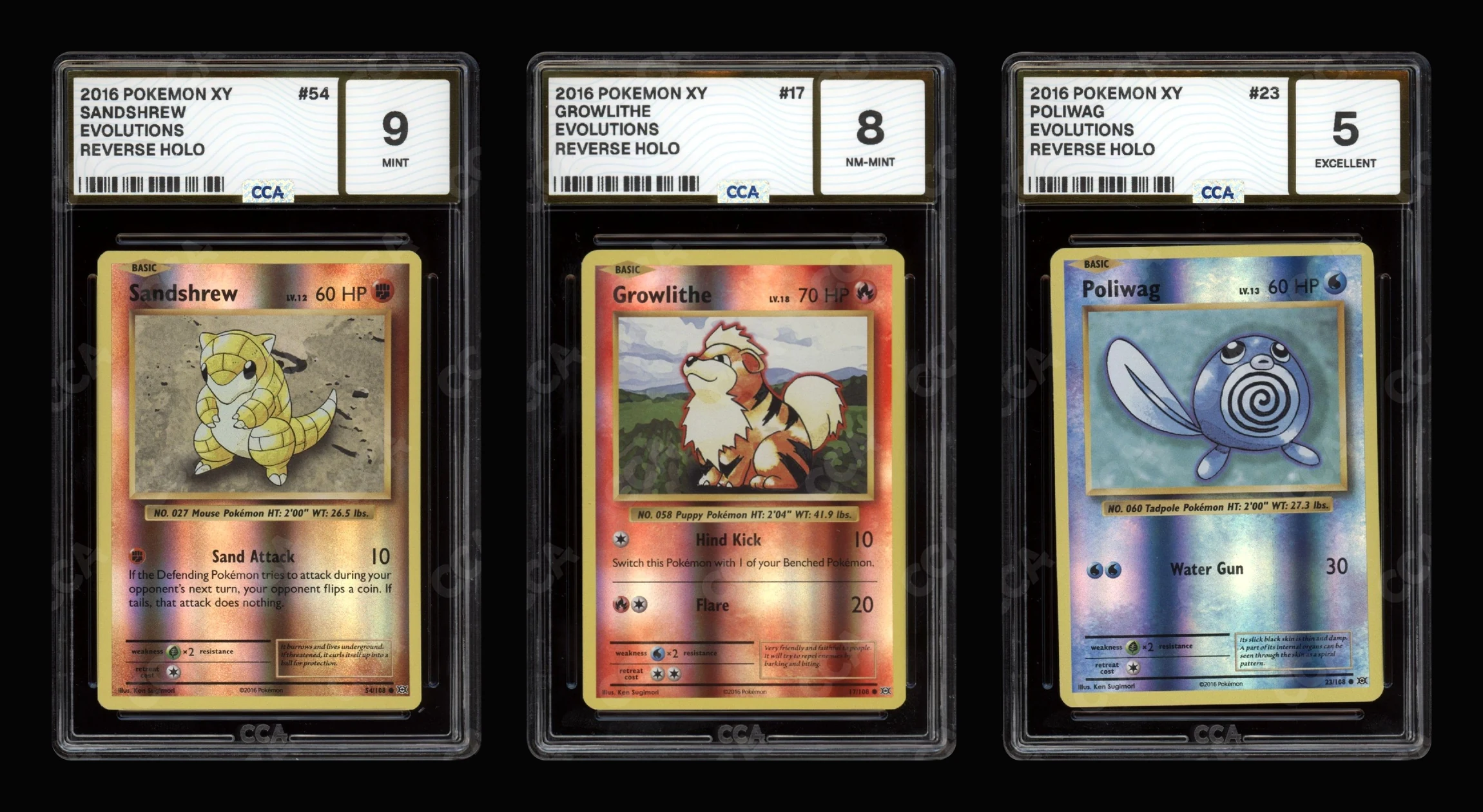 Three authentic 2016 Pokemon XY Evolutions reverse holos in CCA slabs: Sandshrew #54 graded CCA 9 Mint, Growlithe #17 graded CCA 8 NM-Mint and Poliwag #23 graded CCA 5 Excellent