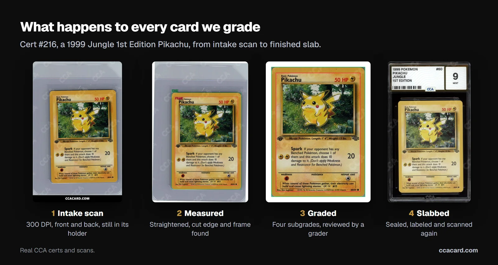 Four steps for cert 216, a 1999 Jungle 1st Edition Pikachu: the 300 DPI intake scan in its holder, the measured scan with cut edge and frame lines, the graded centering proof, and the finished CCA slab graded Mint 9