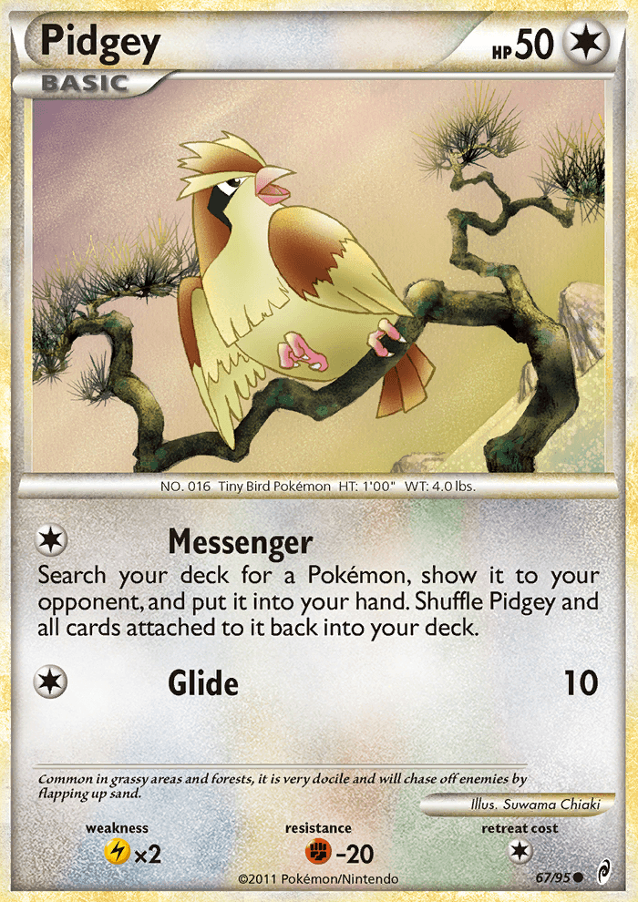 Pidgey