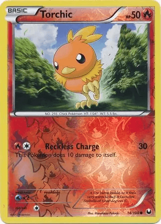 Torchic