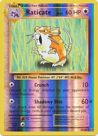 Raticate