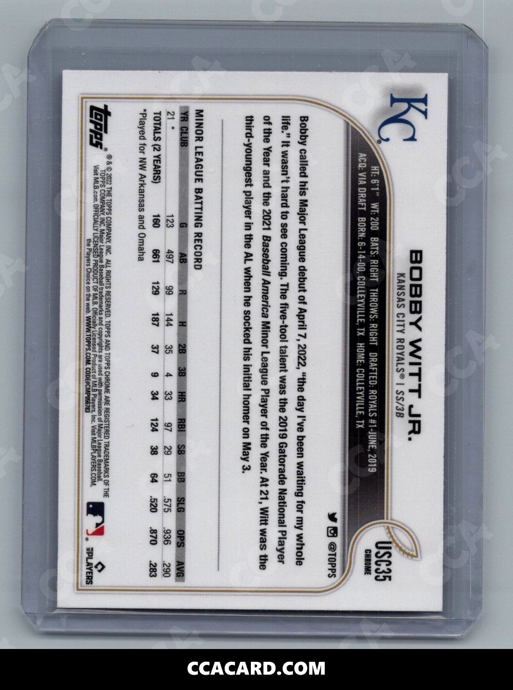 Back Intake Scan